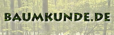 07 Baumkunde.de Die Online-Datenbank für Bäume und Stäucher!